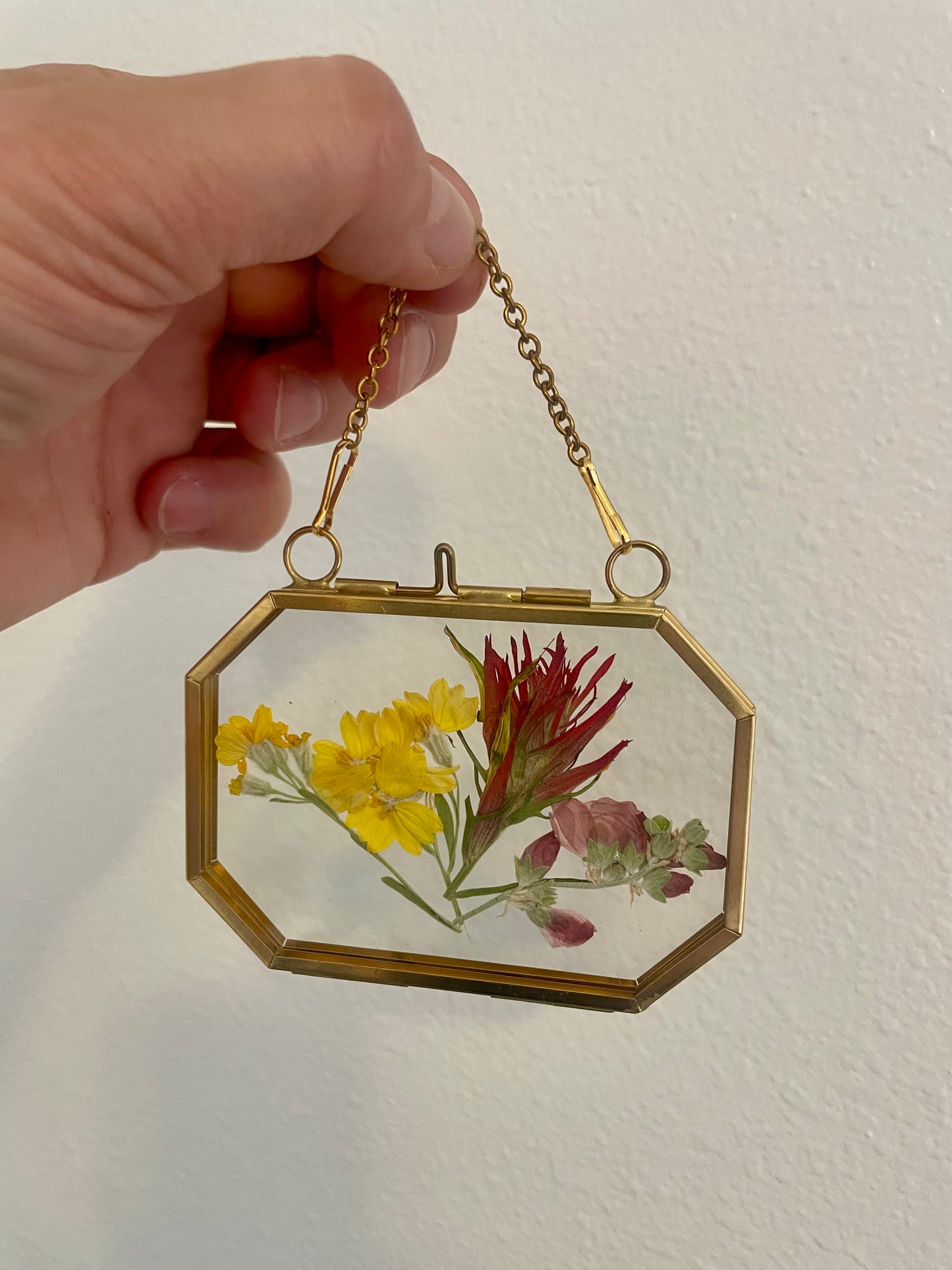Small Pressed Flower Glass Frame - Brass