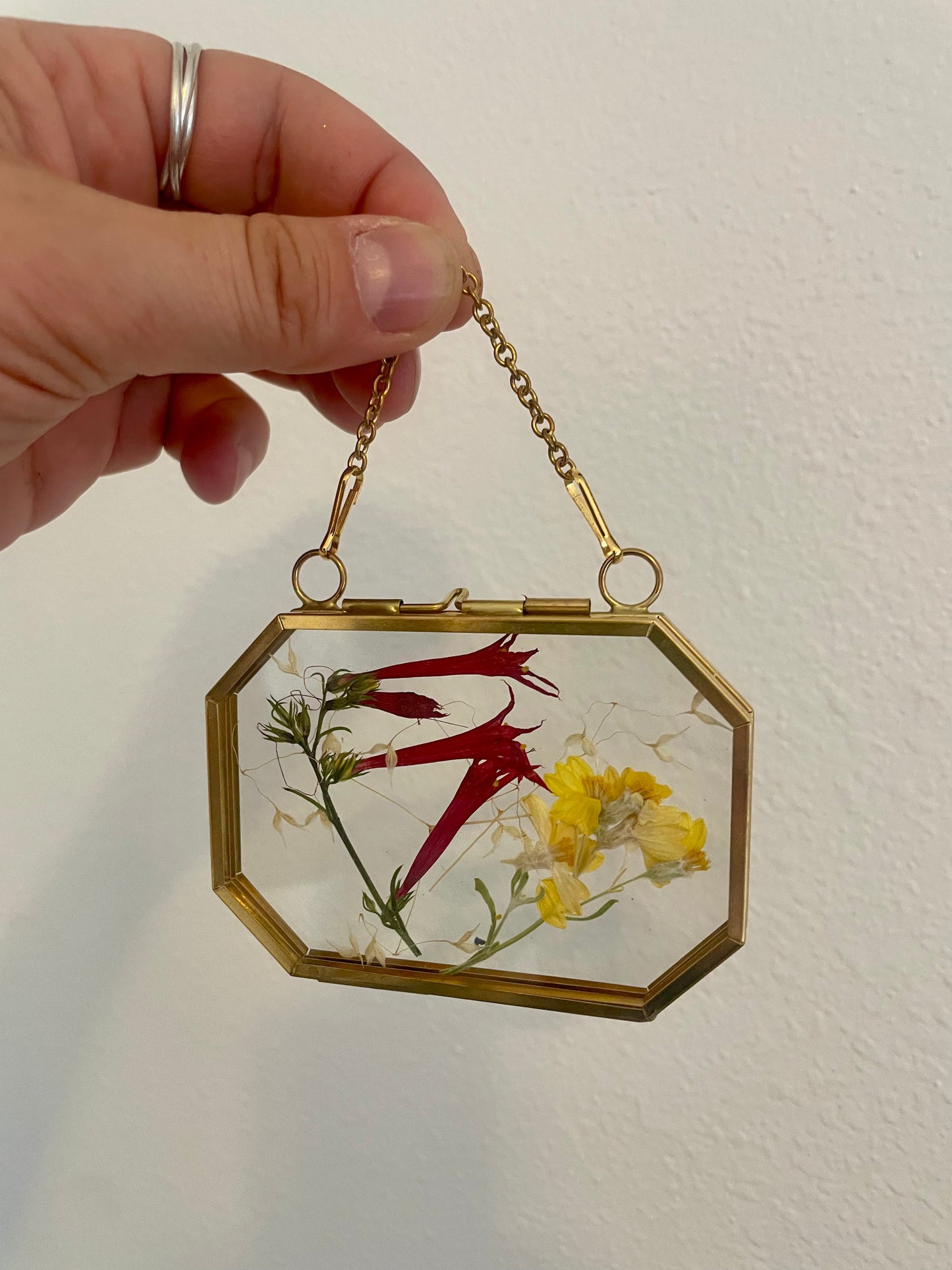 Small Pressed Flower Glass Frame - Brass