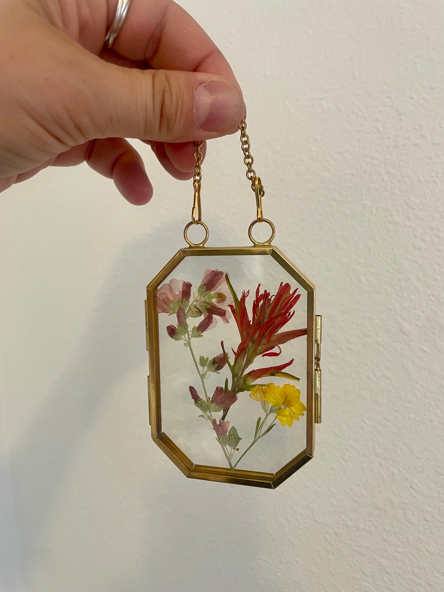 Small Pressed Flower Glass Frame - Brass