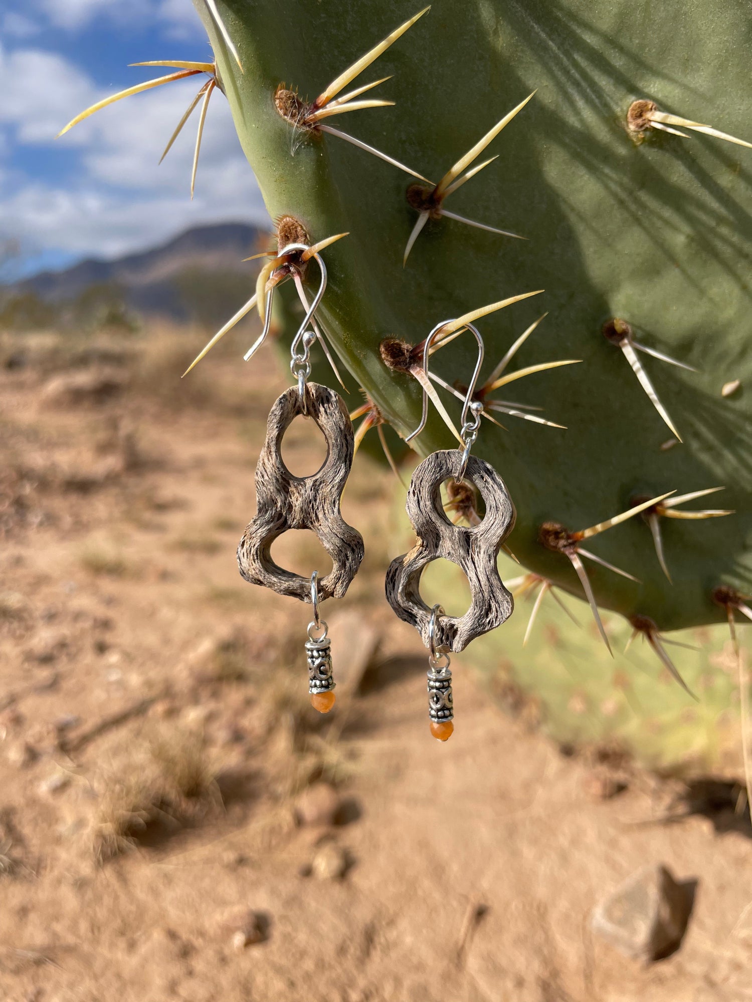 Cholla Cactus Wood Pieces