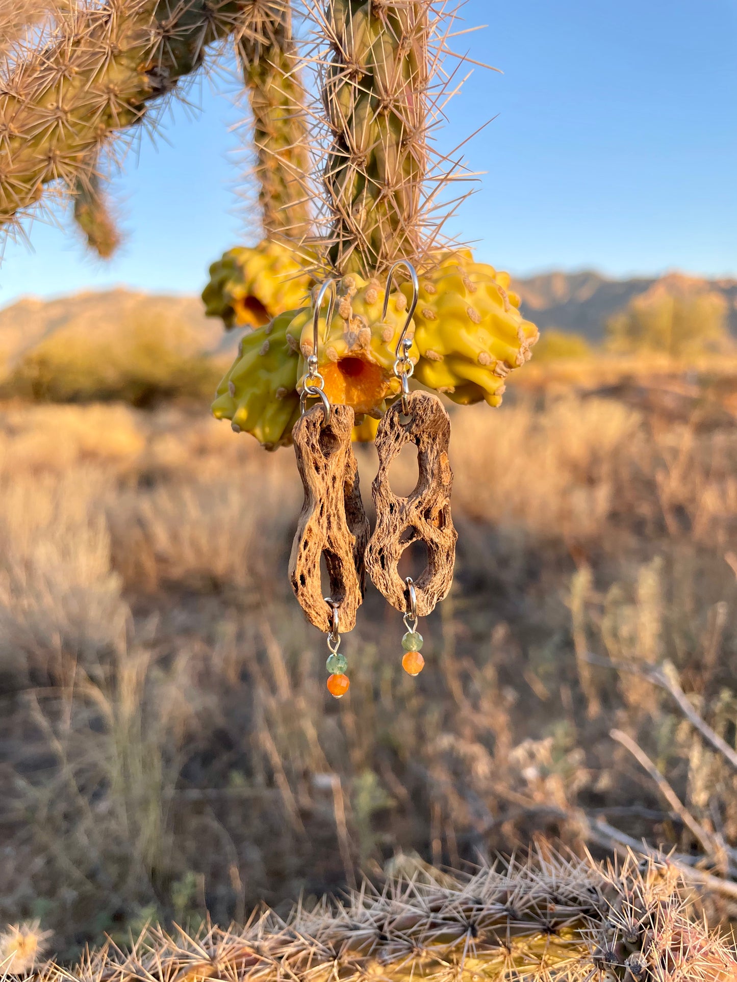 Cholla Cactus Wood and Indian Agate Earrings